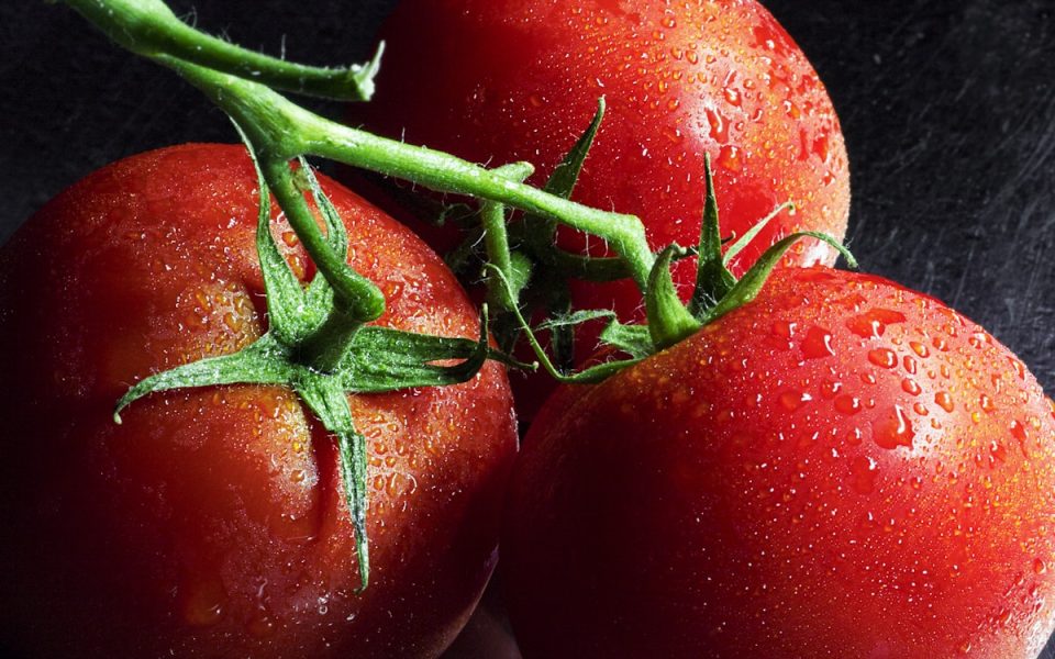 Season calendar: late tomatoes meet early cider presses
